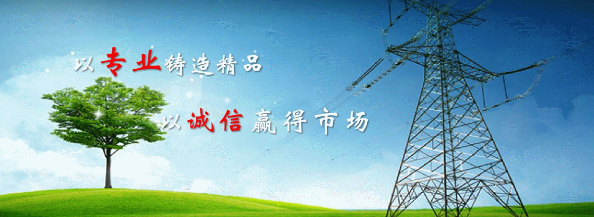 揚(yáng)州蘇瑞電氣